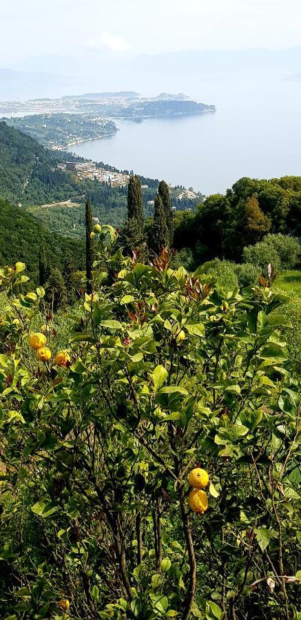 Sunblest Βίλα Δαφνάτα Εξωτερικό φωτογραφία